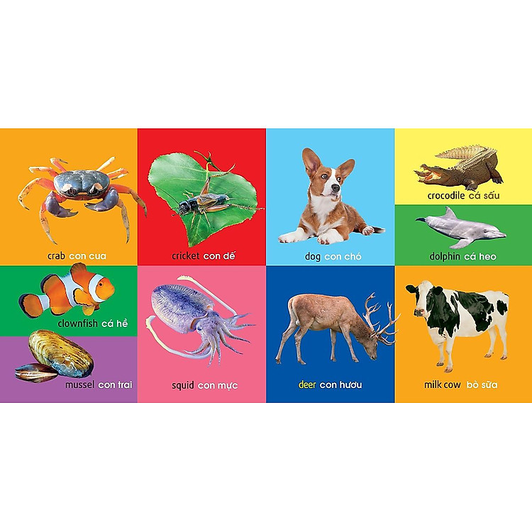 101 Từ Đầu Tiên: Động Vật (Tái Bản 2021) - Ảnh 4