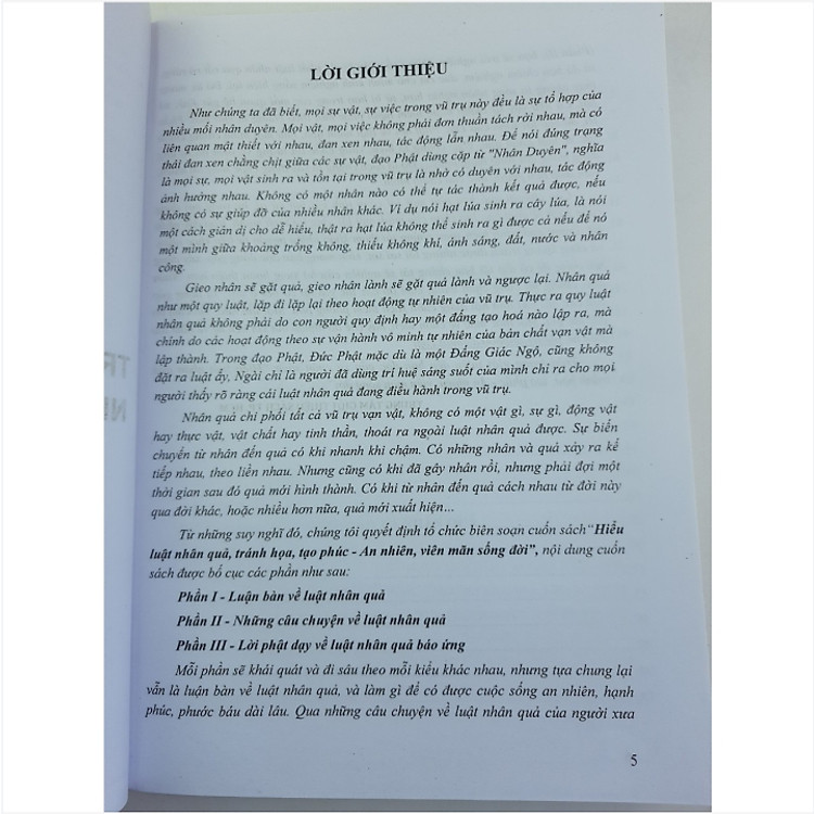 Luật Nhân Quả - Ảnh 4