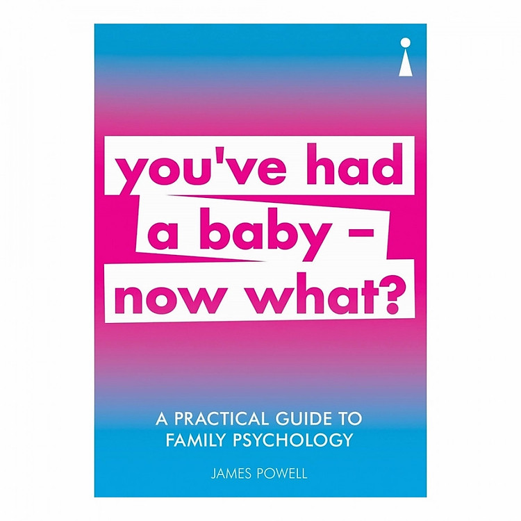 A Practical Guide To Family Psychology