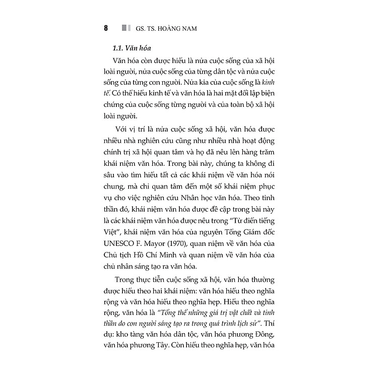 Nhân Học Văn Hóa Việt Nam - Ảnh 6