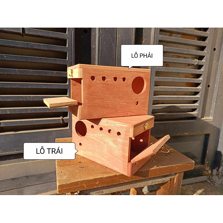 1 tổ sinh sản cho yến phụng, parrotlet (dài 24 rộng 15 cao 15) bằng gỗ hồng đào nguyên khối,(tặng kèm 1 cây đậu và bộ móc treo tổ)