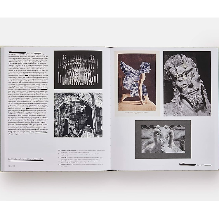 Vitamin C+: Collage in Contemporary Art - Ảnh 5