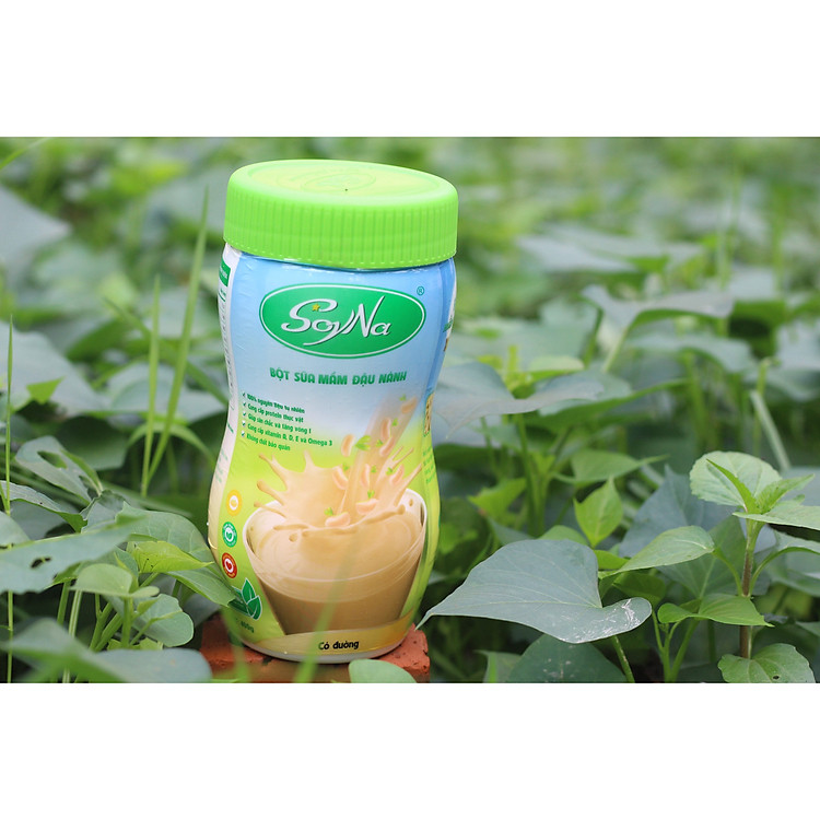 Bột sữa mầm đậu nành SoyNa