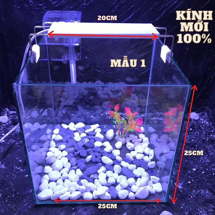 bể cá cubic 25cm combo đầy đủ phụ kiện - bể cá mini - bể cá để bàn mini - bể cá mini