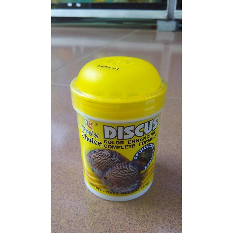 Thức ăn cho cá dĩa khỏe đẹp Discus