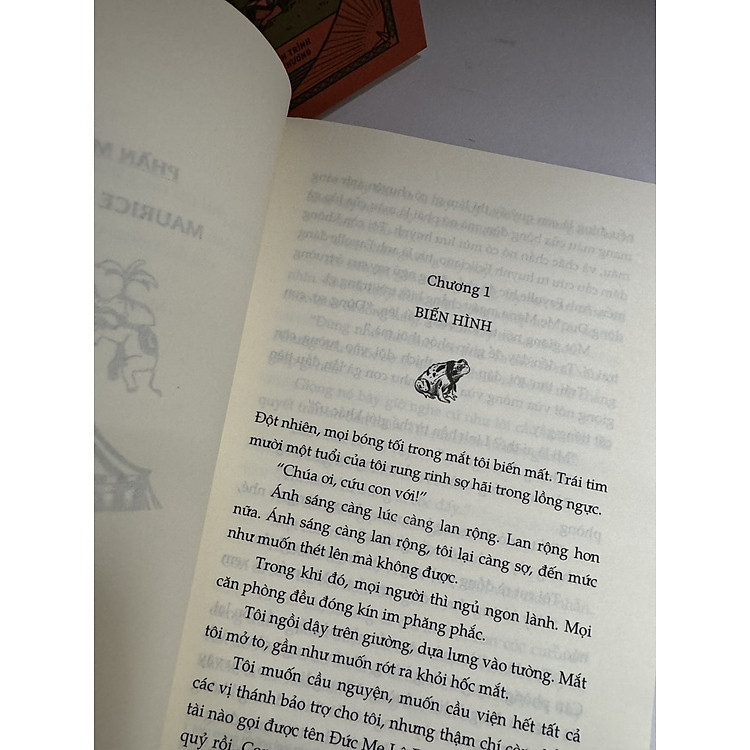 Cây Cam Ngọt Của Tôi & Sưởi Ấm Mặt Trời - Ảnh 4