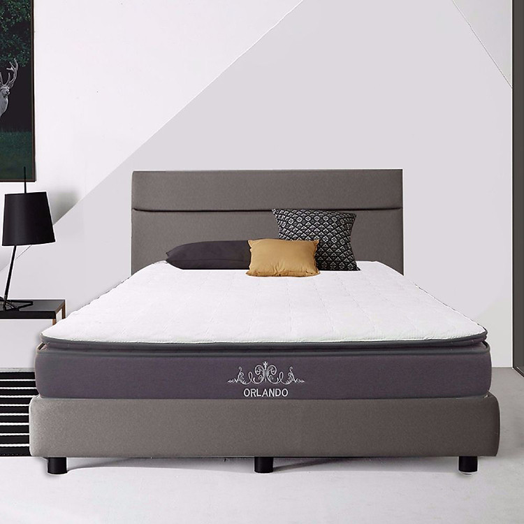Nệm Lò xo Amando Orlando