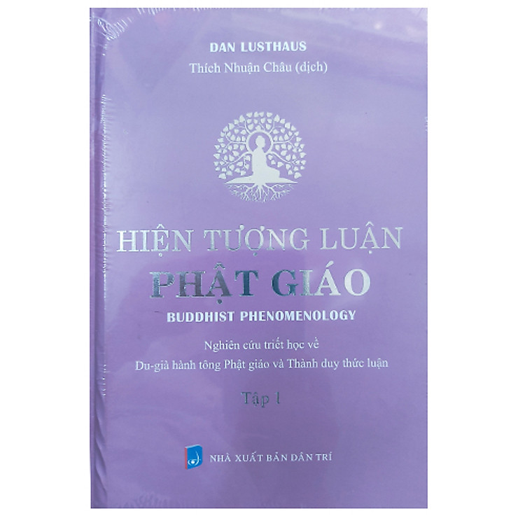 Hiện tượng luận Phật giáo - Ảnh 2