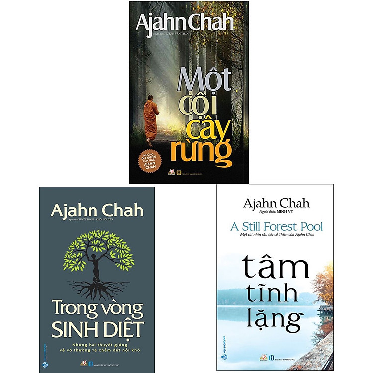 Một Cội Cây Rừng - Ảnh 2