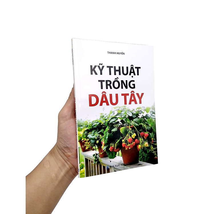 Kỹ Thuật Trồng Dâu Tây - Ảnh 7