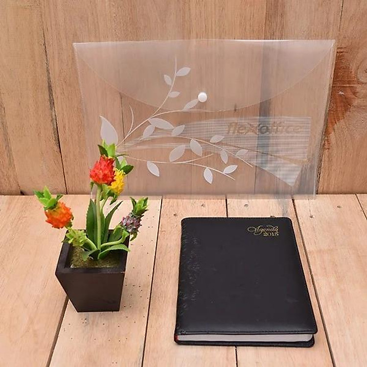 Bìa Nút A4 FO-CBF02 (5 chiếc) - Ảnh 2