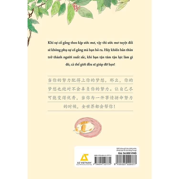 999 Lá Thư Gửi Cho Chính Mình - Phiên Bản TÔ CHỮ Tiếng Trung - Ảnh 2