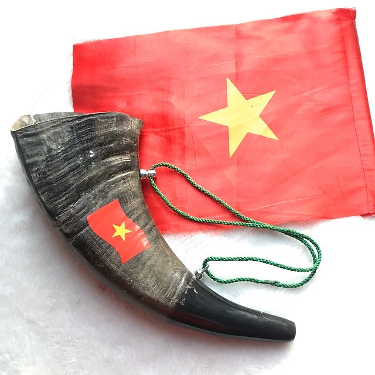 Kèn Tù và Sừng Trâu – Cổ Vũ Đội Tuyển Chính hãng Ưu đãi