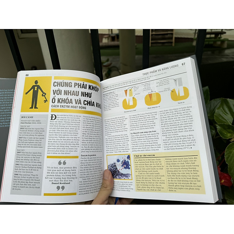 SINH HỌC - Khái lược những tư tưởng lớn - Ảnh 4