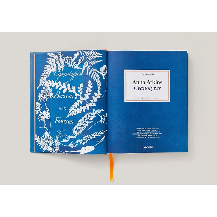 Anna Atkins: Cyanotypes - Ảnh 2