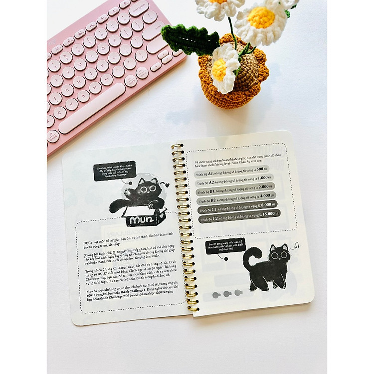 Sổ Tay Từ Vựng - Vocabulary Challenge (160 trang) - Ảnh 7