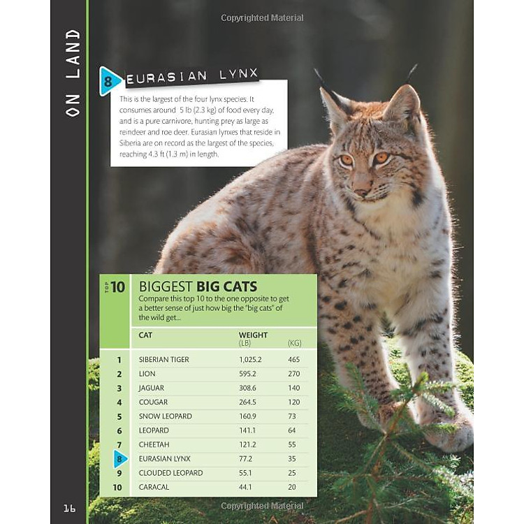 Top 10 of Everything 2018 - Ảnh 4