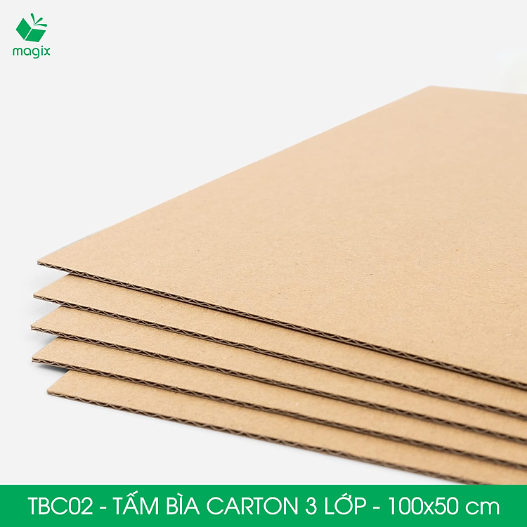 Bìa Carton 3 Lớp TBC02 (100x50 cm, 5 tấm) - Ảnh 4