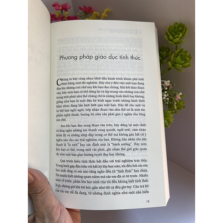 GIÁO DỤC TỈNH THỨC - Daniel Rechtschaffen - Ảnh 2