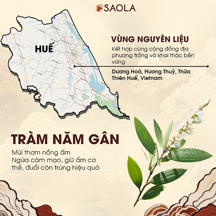 Mua Tinh dầu Tràm Úc 30ml - Hàng Chính Hãng Chính hãng Giá tốt - Hình ảnh 3