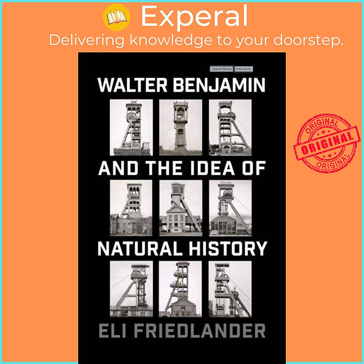 Sách - Walter Benjamin and the Idea of Natural History by Eli Friedlander (UK edition, paperback)