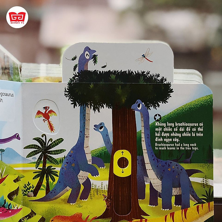 Chuyển Động - First Explorers - In The Jungle - Ảnh 4