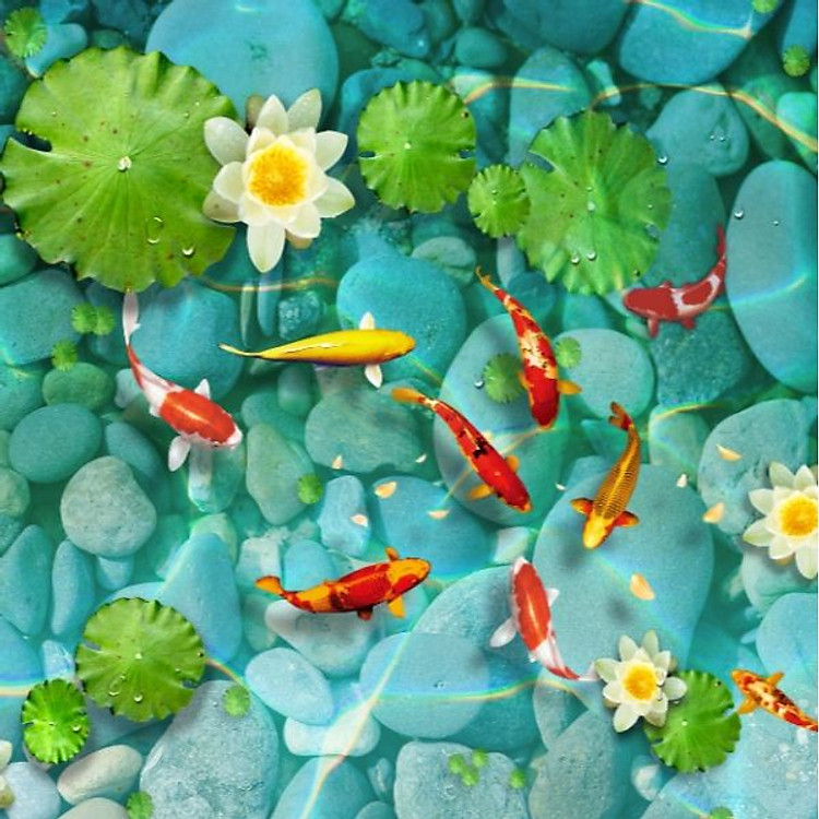 Giấy dán tường - Cá Koi - Mã M265
