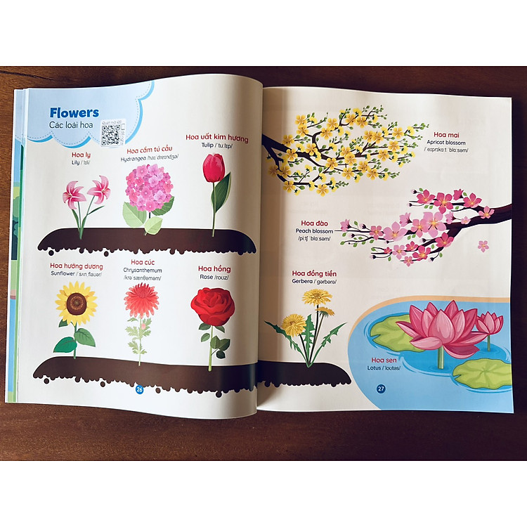 Bé Học Tiếng Anh Qua Hình Ảnh - 1000+ Từ Vựng Tiếng Anh Đầu Tiên Cho Bé - Ảnh 4