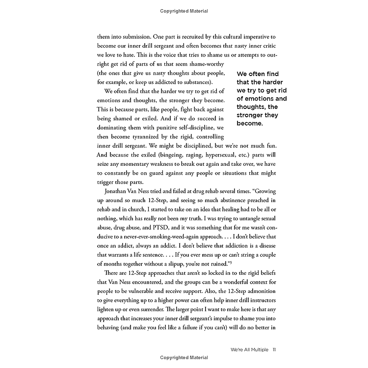 No Bad Parts: Healing Trauma And Restoring Wholeness With The Internal Family Systems Model - Ảnh 5