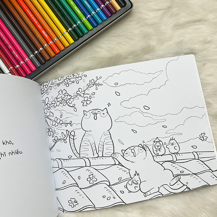 Qua Lăng Kính Của Một Chú Mèo - Ảnh 4