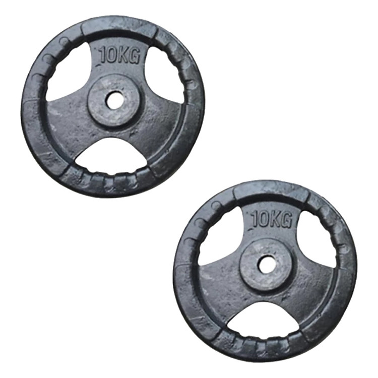 Bộ 2 Bánh Tạ Gang TT - Mart (10kg/Tạ)