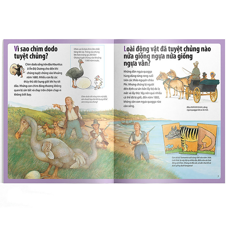 Em Muốn Biết Vì Sao Chim Dodo Tuyệt Chủng Và Những Câu Hỏi Khác Về Các Loài Động Vật Nguy Cấp Và Đã Tuyệt Chủng - Ảnh 4