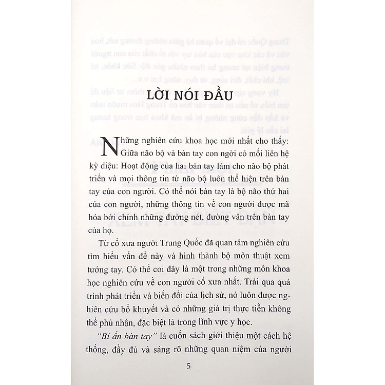 Bí Ẩn Bàn Tay - Ảnh 3