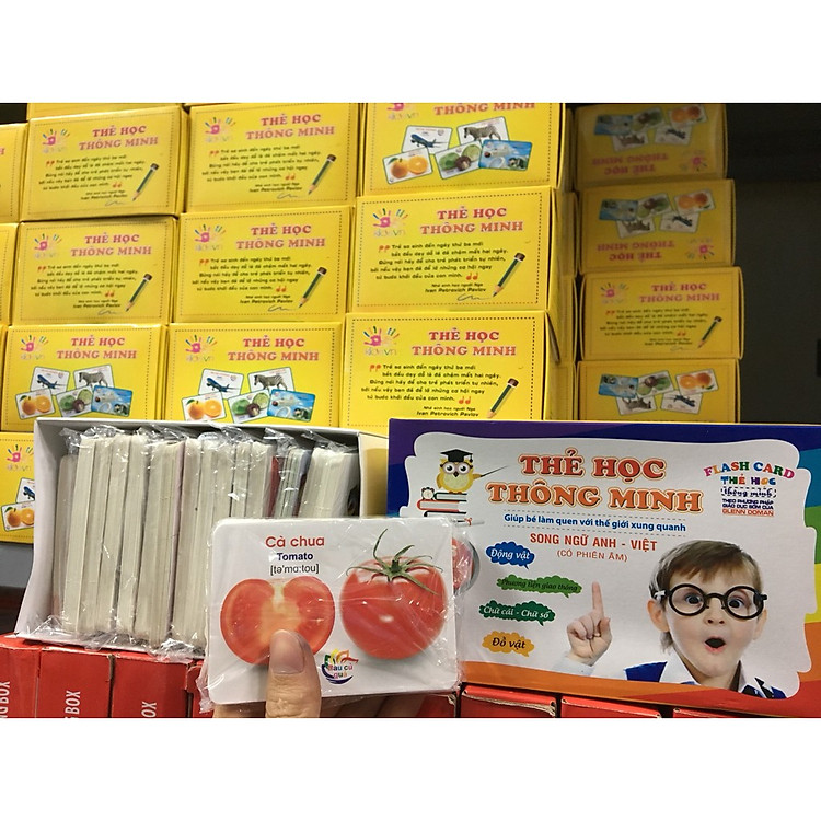 Thẻ Học Glenn Doman Tiếng Anh Cho Bé (416 thẻ) - Ảnh 3