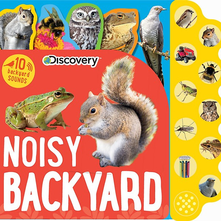 Sách Discovery Noisy Backyard