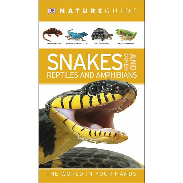 Sách Nature Guide: Snakes and Other Reptiles and Amphibians