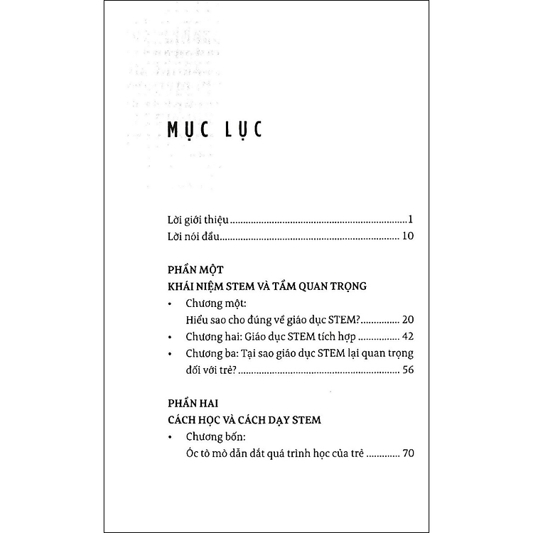 Giáo Dục Stem/Steam: Từ Trải Nghiệm Thực Hành Đến Tư Duy Sáng Tạo - Ảnh 2