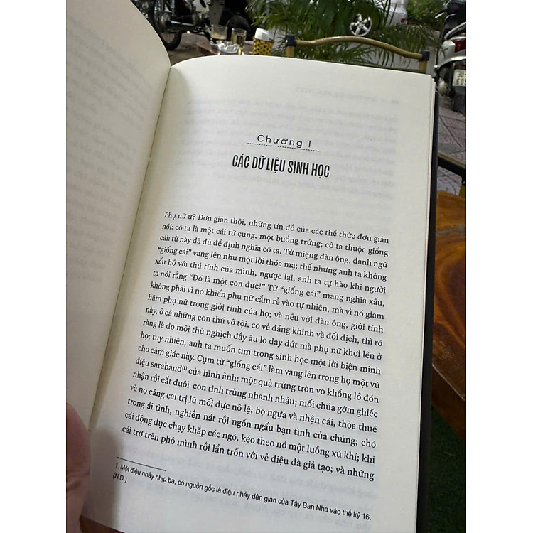 GIỚI THỨ HAI – Simone De Beauvoir - Ảnh 3