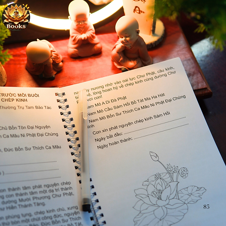 Chép Kinh - Sám Hối - Ảnh 3