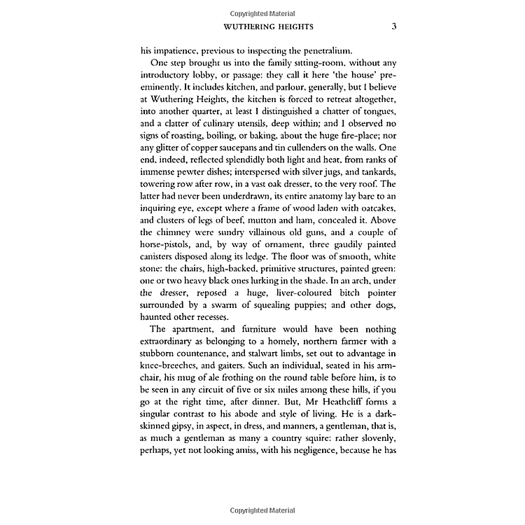 Wuthering Heights - Ảnh 7