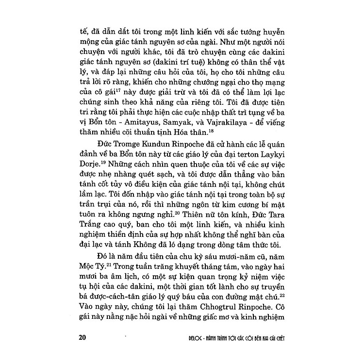 Hành Trình Tới Cõi Bên Kia Cái Chết - Ảnh 5