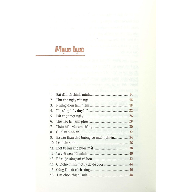 Thả Trôi Phiền Muộn (Tái Bản 2023) - Ảnh 2