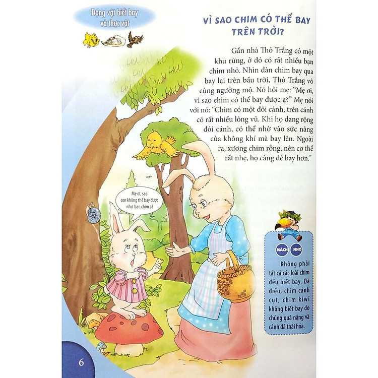 10 Vạn Câu Hỏi Vì Sao Dành Cho Thiếu Nhi - Động Vật Biết Bay - Ảnh 2