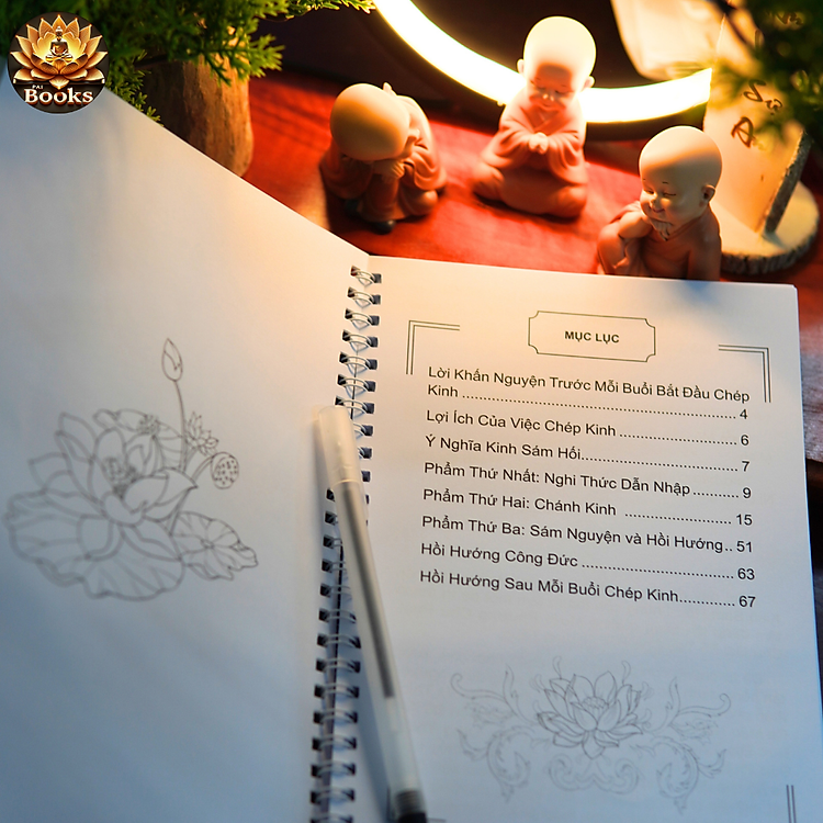 Chép Kinh - Sám Hối - Ảnh 4
