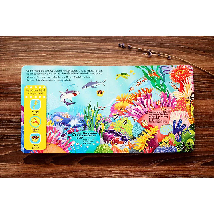 Chuyển Động First Explorers - Sinh Vật Biển - Ảnh 3
