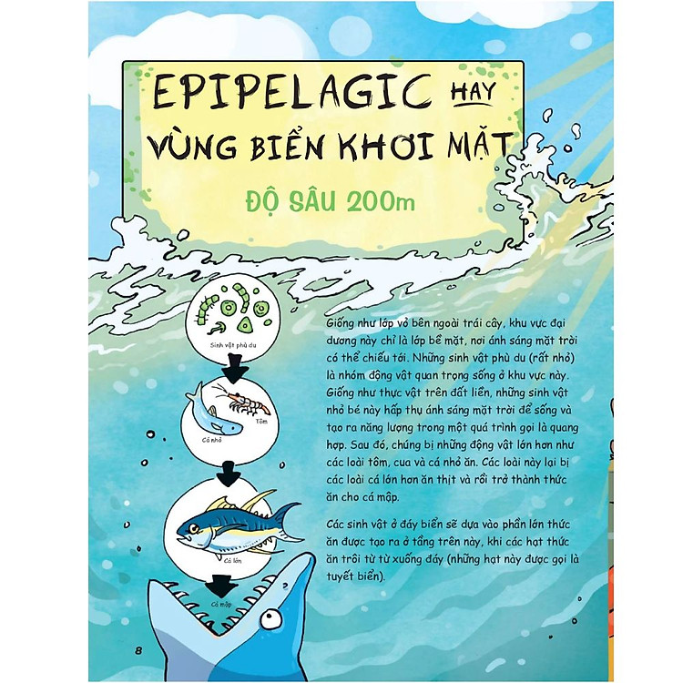 Siêu Nhí Khám Phá Đại Dương - Ảnh 5