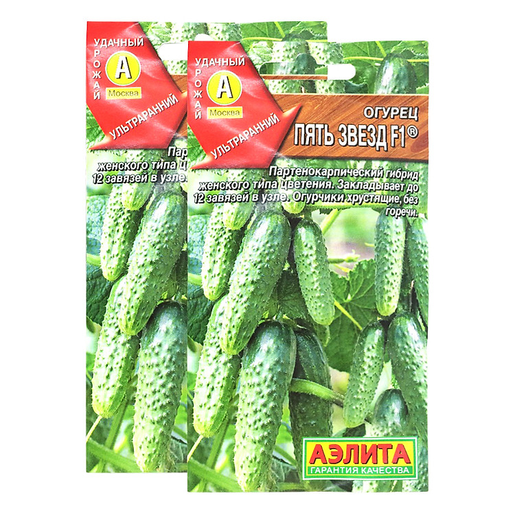 Bộ 2 Gói Hạt Giống Dưa Chuột Chùm Hoa Đẹp Dễ Trồng