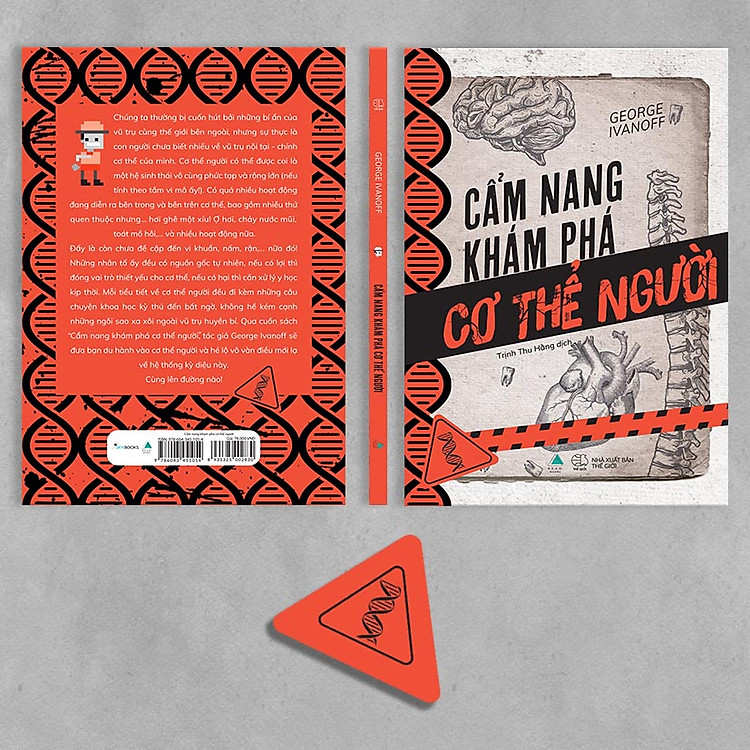 Cẩm Nang Khám Phá Cơ Thể Người - Ảnh 4