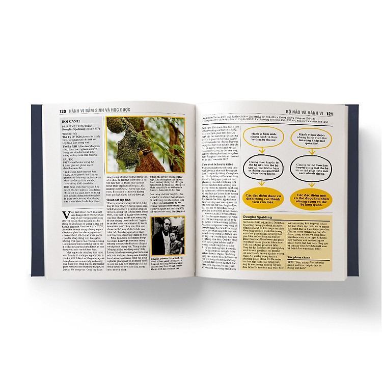 Sinh học - Khái lược những tư tưởng lớn - Ảnh 6