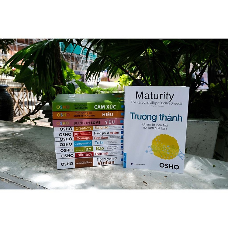 Trưởng Thành Chạm Tới Bầu Trời Nội Tâm Của Bạn - Ảnh 3